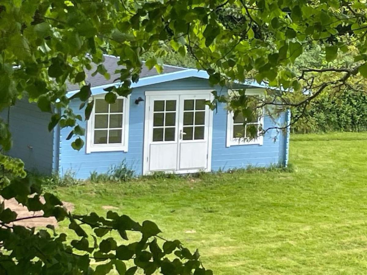 Oak View Lodge - Cosy, Countryside Retreat Maybole Dış mekan fotoğraf
